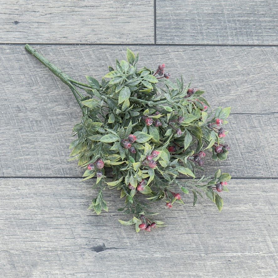 12" Pea Leaf with Berries Bush