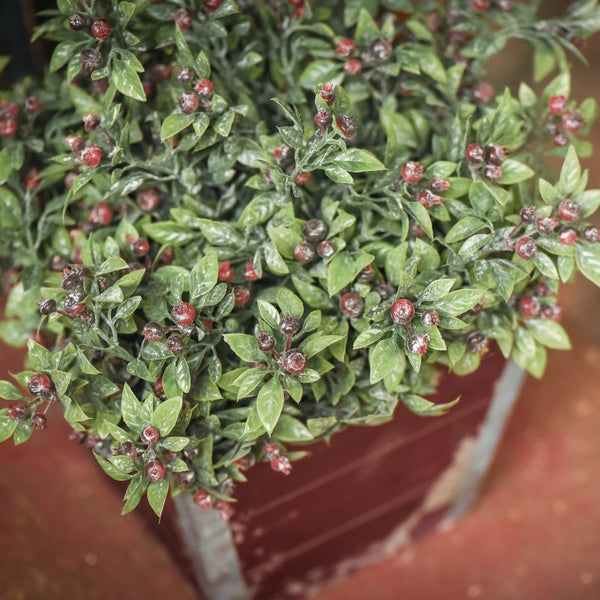 12" Pea Leaf with Berries Bush